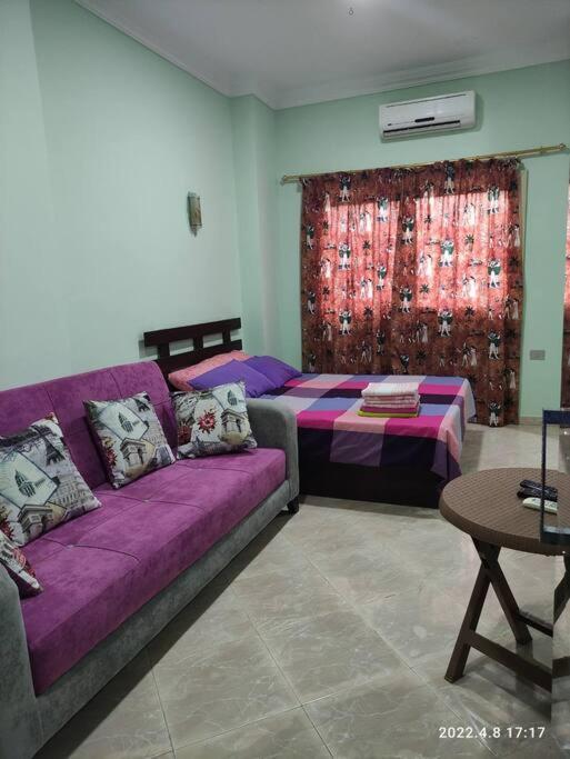 The Best Holidays Apartments In 후르가다 외부 사진